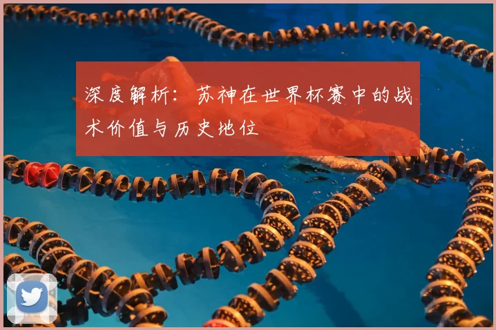深度解析:苏神在世界杯赛中的战术价值与历史地位