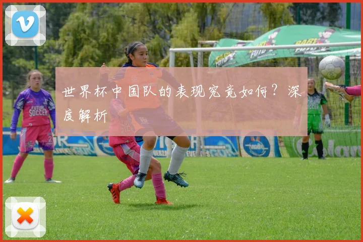 世界杯中国队的表现究竟如何？深度解析