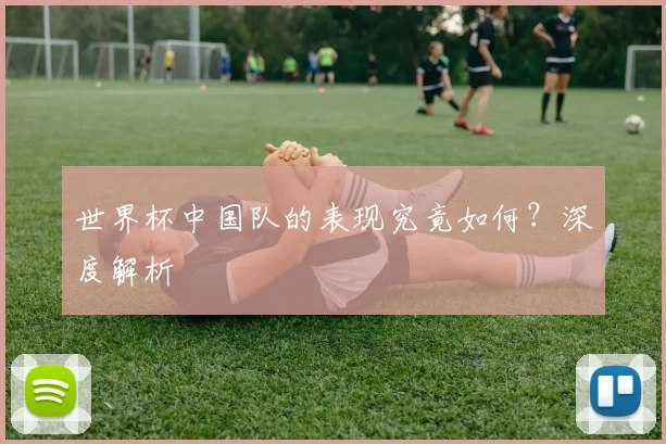 世界杯中国队的表现究竟如何？深度解析