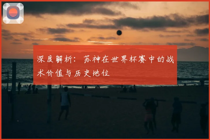 深度解析：苏神在世界杯赛中的战术价值与历史地位
