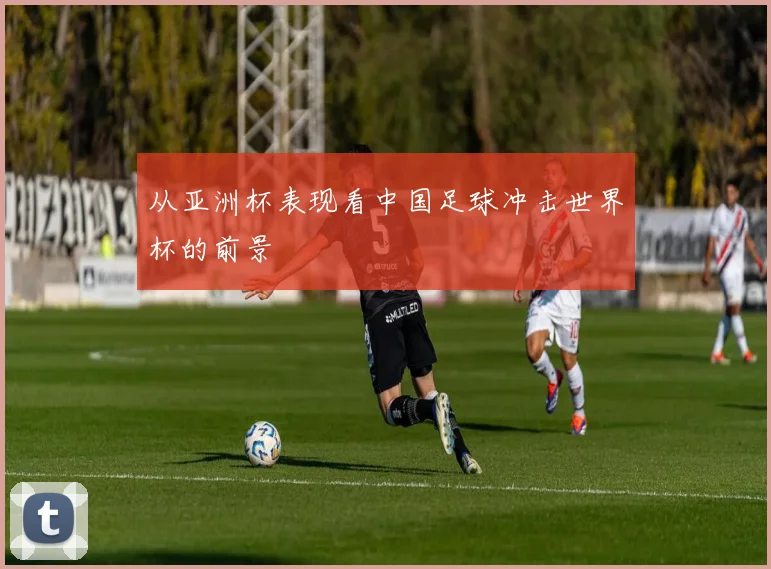 从亚洲杯表现看中国足球冲击世界杯的前景